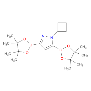 1-Cyclobutyl-1H-pyrazole-3,5-diboronic acid pinacol ester