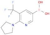 [6-(Pyrrolidin-1-yl)-5-(trifluoromethyl)pyridin-3-yl]boronic acid