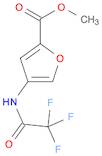 methyl 4-(2,2,2-trifluoroacetamido)furan-2-carboxylate