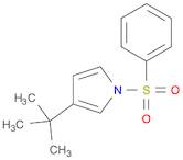 3-(tert-butyl)-1-(phenylsulfonyl)-1H-pyrrole