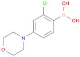 2-Chloro-4-(morpholino)phenylboronic acid