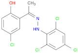 1-(5-Chloro-2-hydroxyphenyl)ethanone (2,4,6-trichlorophenyl)hydrazone