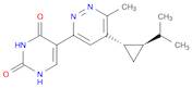 5-[6-甲基-5-[(1S,2R)-2-丙-2-基环丙基]哒嗪-3-基]-1H-嘧啶-2,4-二酮