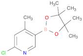 2-Chloro-4-methyl-5-(tetramethyl-1,3,2-dioxaborolan-2-yl)pyridine