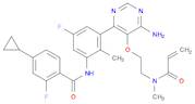 N-[3-[6-氨基-5-[2-[甲基(1-氧代-2-丙烯-1-基)氨基]乙氧基]-4-嘧啶基]-5-氟-2-甲基苯基]-4-环丙基-2-氟苯甲酰胺