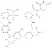 4-[4-[[5-氯-4-[2-[(1-甲基乙基)磺酰基]氨基]-2-嘧啶基]氨基]-2-甲基-5-(1-甲基乙氧基)苯基]-N-[2-[2-(2,6-二氧代-3-哌啶基)-2,3-二氢-1,...