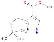 Methyl3-(tert-butoxymethyl)-1H-pyrazole-4-carboxylate