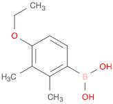 4-Ethoxy-2,3-dimethylphenylboronic acid