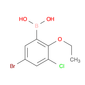 5-Bromo-3-chloro-2-ethoxyphenylboronic acid