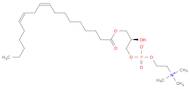 (R)-2-Hydroxy-3-((9Z,12Z)-octadeca-9,12-dienoyloxy)propyl (2-(trimethylammonio)ethyl) phosphate