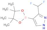 3-(Difluoromethyl)-4-(4,4,5,5-tetramethyl-1,3,2-dioxaborolan-2-yl)-1H-pyrazole