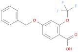 Benzoic acid, 4-(phenylmethoxy)-2-(trifluoromethoxy)-