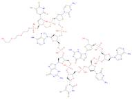 3′-Thymidylic acid, 2′-deoxyguanylyl-(3′→5′)-2′-deoxyadenylyl-(3′→5′)-2′-deoxycytidylyl-(3′→5′)-th…