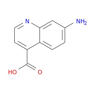 7-Amino-4-quinolinecarboxylicacid