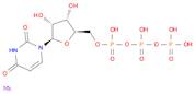 Uridine 5′-(tetrahydrogen triphosphate), sodium salt (1:2)