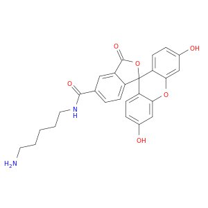 N-(5-Aminopentyl)-3′,6′-dihydroxy-3-oxospiro[isobenzofuran-1(3H),9′-[9H]xanthene]-5-carboxamide