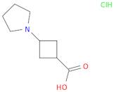 3-(Pyrrolidin-1-yl)cyclobutane-1-carboxylic acid hydrochloride