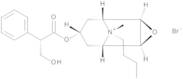 (-)-Scopolamine-N-butylbromide