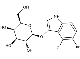 X-Gal Solution (20mg/ml)