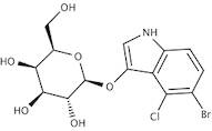 5-Bromo-4-Chloro-3-Indolyl-ß-D-Galactopyranoside (X-Gal) for molecular biology, 98%