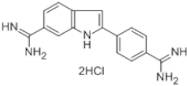 DAPI Dihydrochloride (4,6-Diamidino-2-Phenylindole Dihydrochloride) for molecular biology, 95%