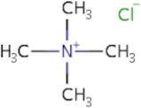 Tetramethylammonium Chloride pure, 98%