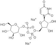 Uridine 5'-Diphosphoglucose Disodium Salt Hydrate extrapure (UDPG.2Na Hydrate), 98%