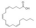 Arachidonic Acid (non-animal) extrapure, 99%