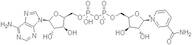 ß-Nicotinamide Adenine Dinucleotide (Oxidized) (ß-NAD, DPN) extrapure, 98%