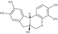 Hematoxylin Monohydrate