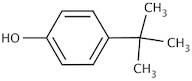 p-tert-Butyl Phenol pure, 98%