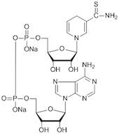 Thionicotinamide Adenine Dinucleotide Disodium Salt Reduced (Thio-NADH) extrapure, 93%