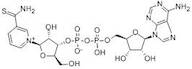 Thionicotinamide Adenine Dinucleotide (Thio-NAD) extrapure, 90%