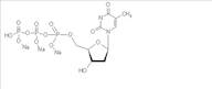 Deoxythymidine Triphosphate Trisodium Salt (dTTP), 98%