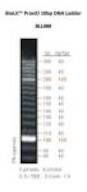 ProxiO 10bp DNA Ladder