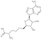 S-(5-Adenosyl)-L-Homocysteine extrapure, 99%