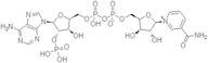 ß-Nicotinamide Adenine Dinucleotide Phosphate Monopotassium Salt (Oxidized) (ß-NADP.K)extrapure, 95%