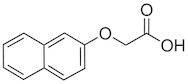 2-Naphthoxyacetic Acid (BNOA) extrapure, 98%