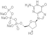 Deoxyguansine Triphosphate Trisodium Salt (dGTP), 97%
