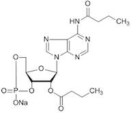 N6,2-O-Dibutyryl-Adenosine-3,5-Cyclic-Monophosphate Sodium Salt, 97%