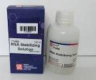 RNA Stabilizing Solution