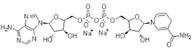 ß-Nicotinamide Adenine Dinucleotide Disodium Salt (Reduced) (ß-NADH.Na2, DPNH.Na2) extrapure, 98%