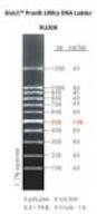 ProxiB 100bp DNA Ladder