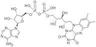 Flavine Adenine Dinucleotide Sodium Salt (FAD) extrapure, 95%