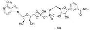 ß-Nicotinamide Adenine Dinucleotide Sodium Salt (ß-NAD.Na) extrapure, 95%