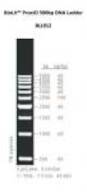 ProxiO 500bp DNA Ladder