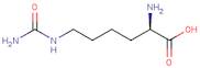D-Homocitrulline extrapure CHR, 98%