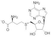 S-(5-Adenosyl)-L-Methionine-p-Toluenesulfonate Salt extrapure, 95%