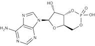 Adenosine-3’,5’-Cyclic-Monophosphoric Acid extrapure, 98%
