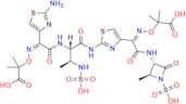 Aztreonam Impurity 7
